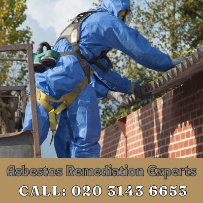 Asbestos Remediation Experts Sydenham