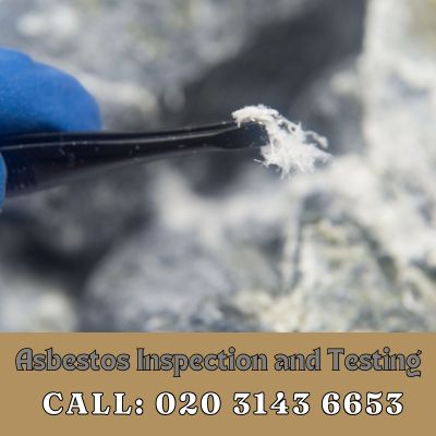 Comprehensive Asbestos Inspection and Testing Services in Sydenham